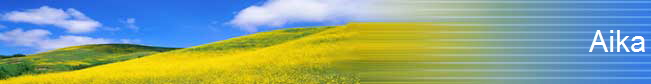 Aika