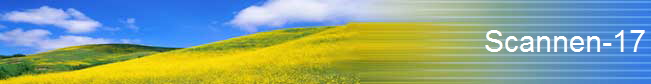 Scannen-17